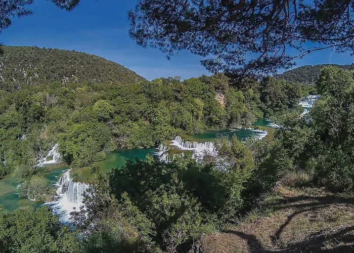 Gorgeous In With Wifi * ピロヴァッツ