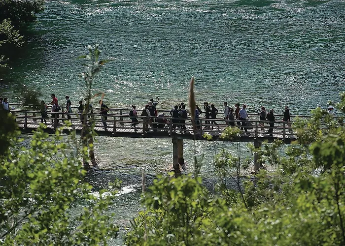 Gorgeous In With Wifi * ピロヴァッツ